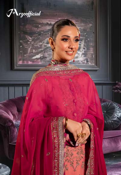 Embroidered Chiffon -2 Piece